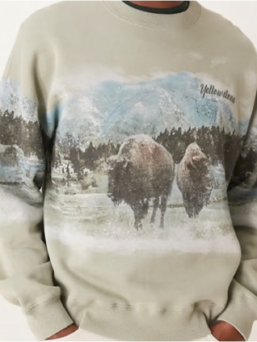 Hard to find Abercrombie & Fitch National Parks Yellowstone print sweatshirt